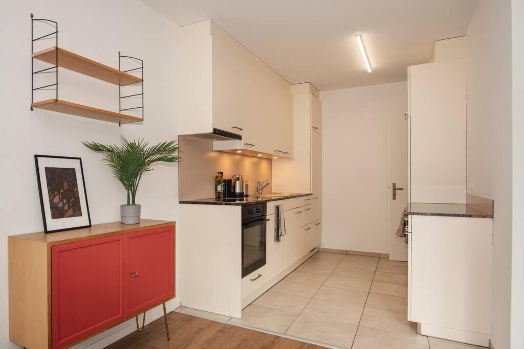 Spacious Apartment Next To Rhine Basel Eksteriør bilde