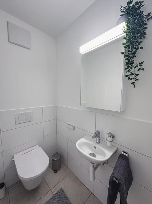 Spacious Apartment Next To Rhine Basel Eksteriør bilde